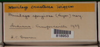 Image Associated With the Occurence